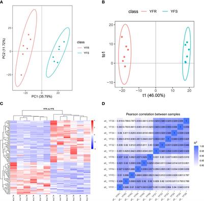 Comparative metabolomics and transcriptomics provide new insights into florpyrauxifen-benzyl resistance in Echinochloa glabrescens